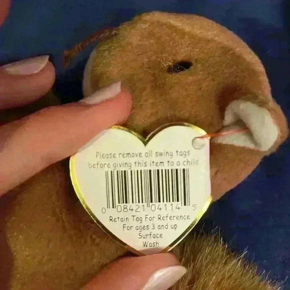 Ty Beanie Baby Nuts. - Picture 4 of 6